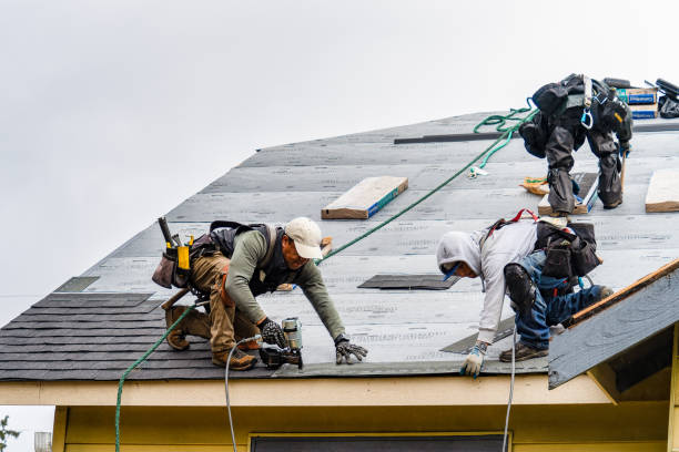 Professional Gutter Installation technician working in Stephens City, VA